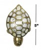 BR23073X - 2 PCS Brass & Mother of Pearl Turtle Box